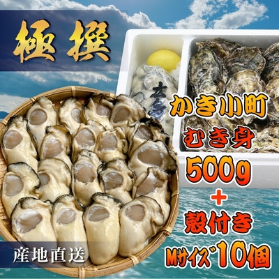極撰 かき小町セットS かき小町むき身500g+かき小町殻付き10個 | 本庄水産
